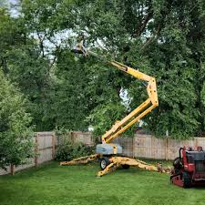 Best Tree Health Inspection  in Golden Hills, CA