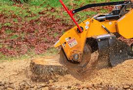 Best Tree Maintenance Programs  in Golden Hills, CA